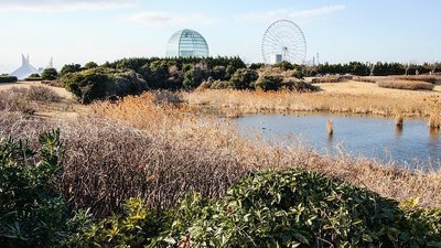 🏞️ 미야자키 해변 공원(미야자키 린카이 코엔)